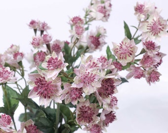 Astrantia Spray 49cmH, Artificial Flower, Home Decoration, Flower Decoration, DIY Arrangement