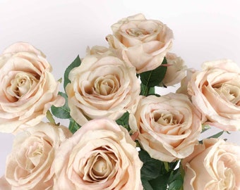 Big Head Garden Rose Stem in Cream 66cmH | Artificial Faux Flowers | Rose Stem | Single Rose Flower