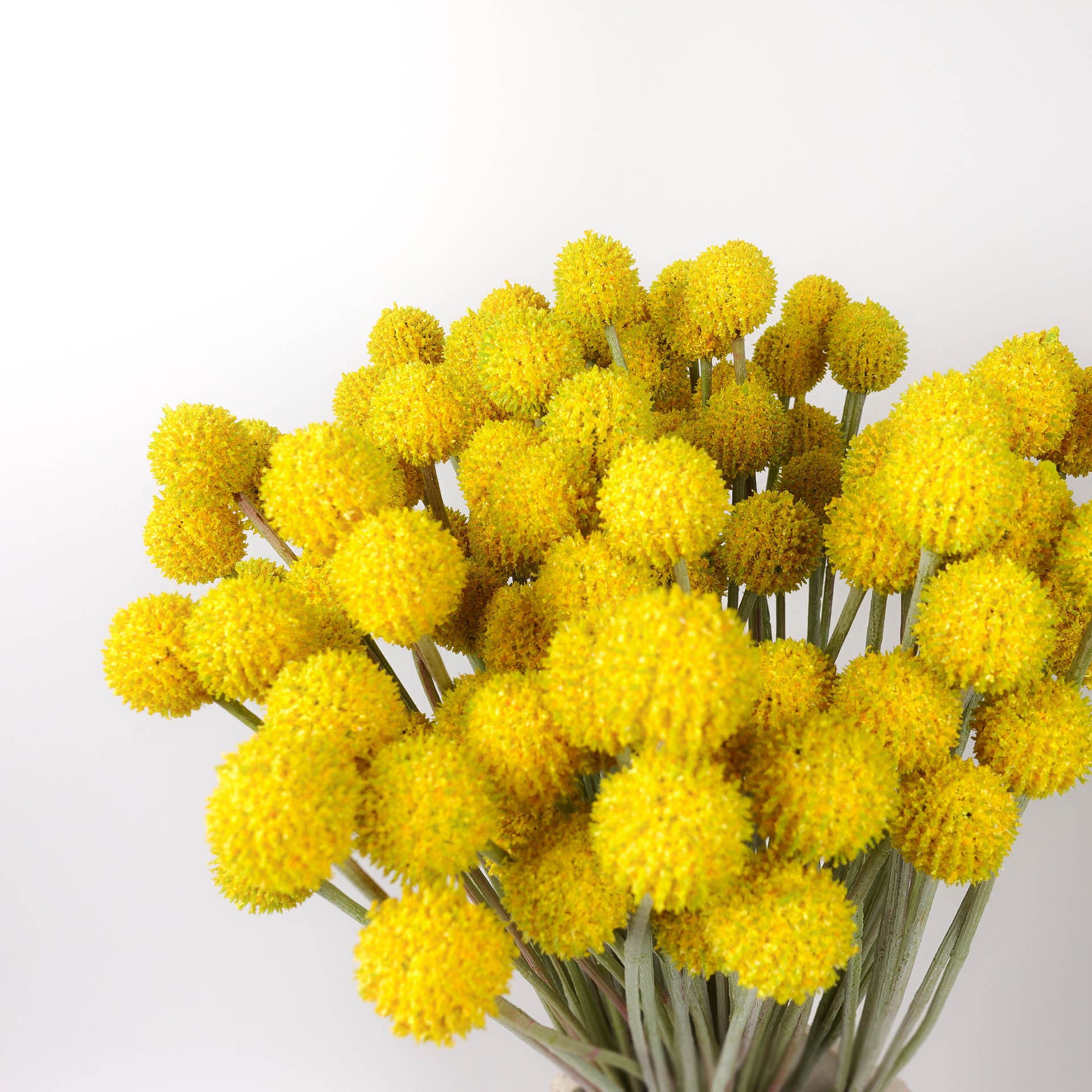 7 Heads Billy Button Spray in Yellow 62cmh Artificial Billy Etsy