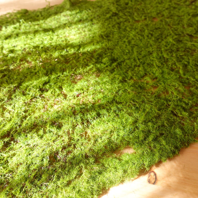 Artificial Moss Mat 30cmx40cm Greenery Mat DIY Flower Etsy