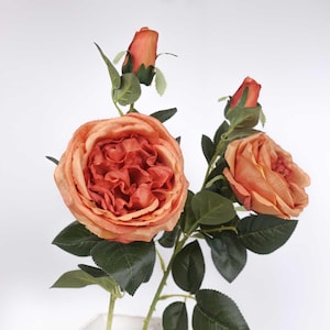 2 Heads Austin Rose Stem in Burnt Orange 67cmH | Artificial Faux Rose Flowers | Rose Stem | Single Rose Flower