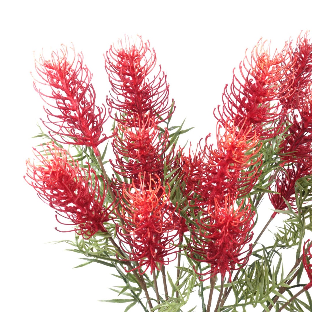 3 Heads Native Grevillea Stem in Red 84cmh Native Flowers Artificial