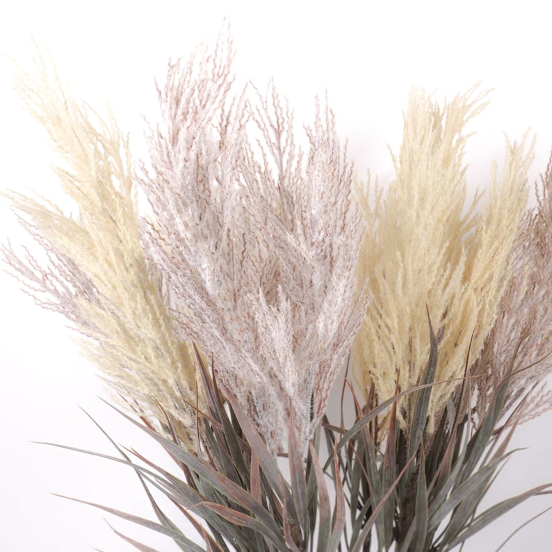 Pampas Grass Stem 88cmH Reed Grass Spray Dried-look | Etsy