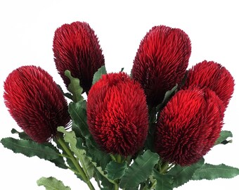 Dried-look Banksia Stem 65cmh in Dusty Pink | Australian Native Flowers | Banksia Silk Flower | Native Arranging - Finland