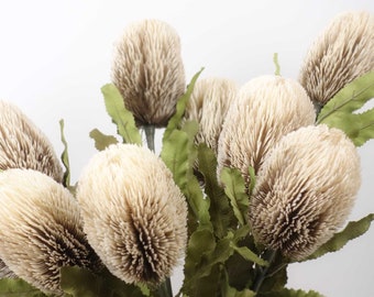 Dried-look Banksia Stem 65cmH in Cream | Australian Native Flowers | Banksia Silk Flower | Native Arranging