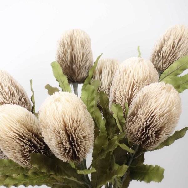 Dried-look Banksia Stem 65cmH in Cream | Australian Native Flowers | Banksia Silk Flower | Native Arranging