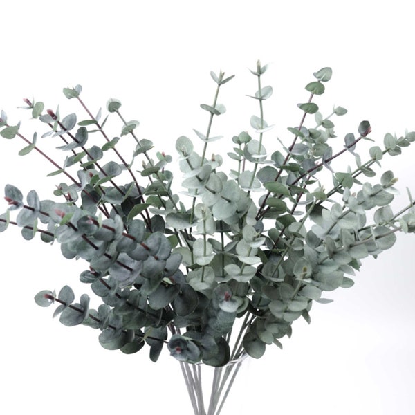 Eucalyptus Silver Dollar 60cmH |  Native Flowers | Artificial Flowers Australia | Flower Arranging