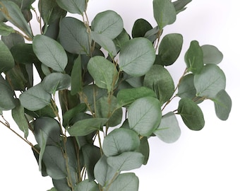 May include: A bunch of artificial eucalyptus stems with green leaves. The leaves are made of a soft, fabric-like material.