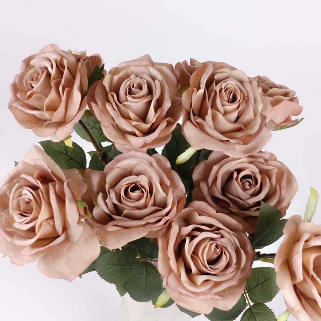 Big Head Garden Rose Stem in Cream Coffee 63cmh | Artificial Faux ...