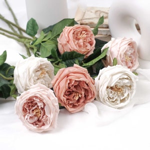 Real Touch Austin Rose Stem 72cmH | Artificial Faux Flowers | Rose Stem | Single Rose Flower