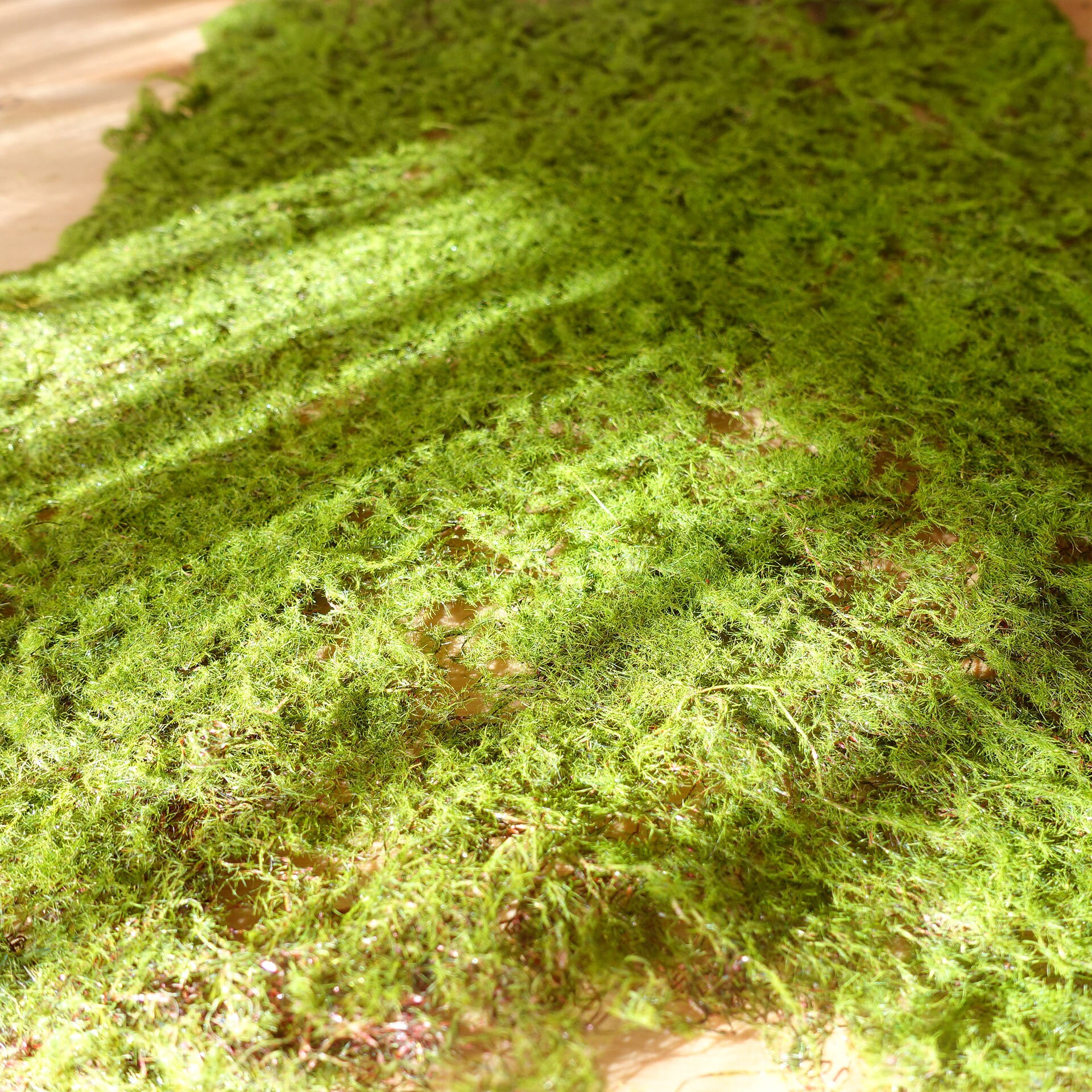 Artificial Moss Mat 30cmx40cm Greenery Mat DIY Flower Etsy