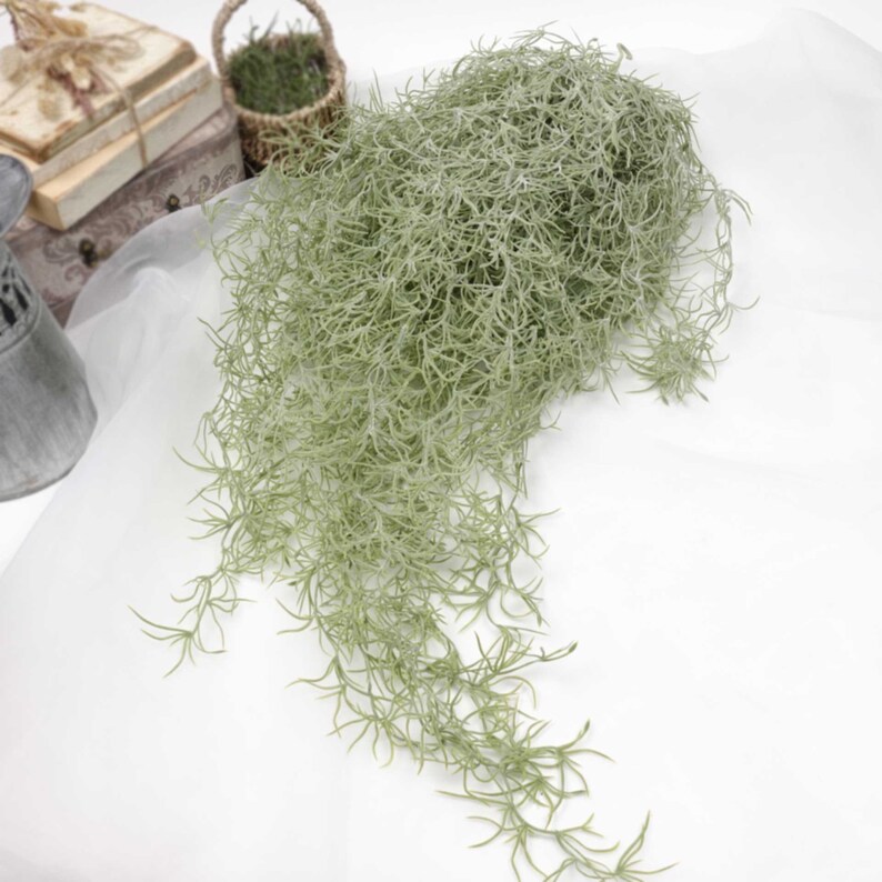 Spanish Moss Hanging Garland 75cmh in White Green Artificial Etsy