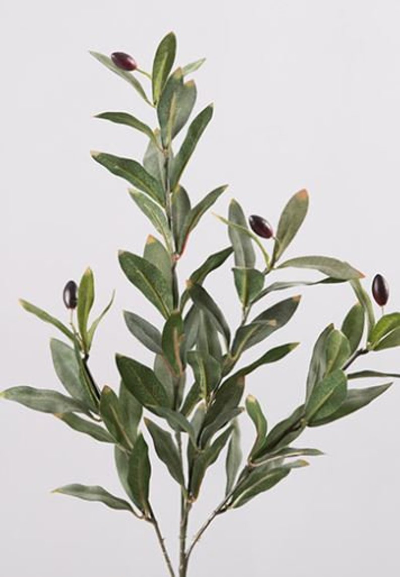 Olive Branch 55cmH Olive Leaf Spray Artificial Olive Stem Etsy