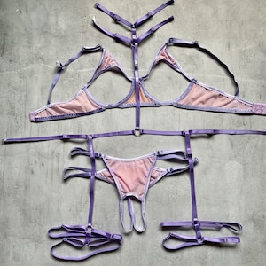 May include: A lavender lingerie set featuring a bra, garter belt, and thong. The bra and thong are a light pink color with lavender trim. The garter belt and straps are a matching lavender color. The set is laid out on a gray surface.
