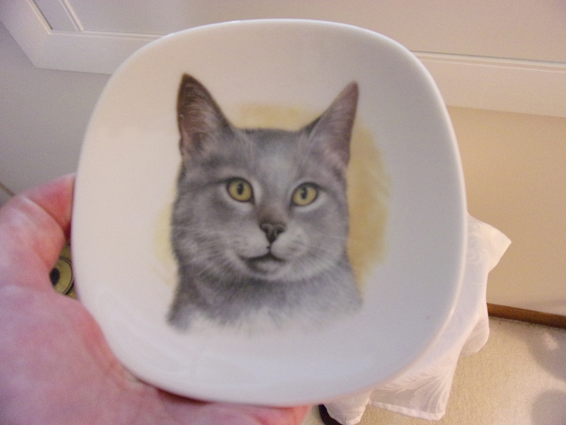 Unique Vintage Collectible Cat Plate Made In Bavaria Germany Etsy