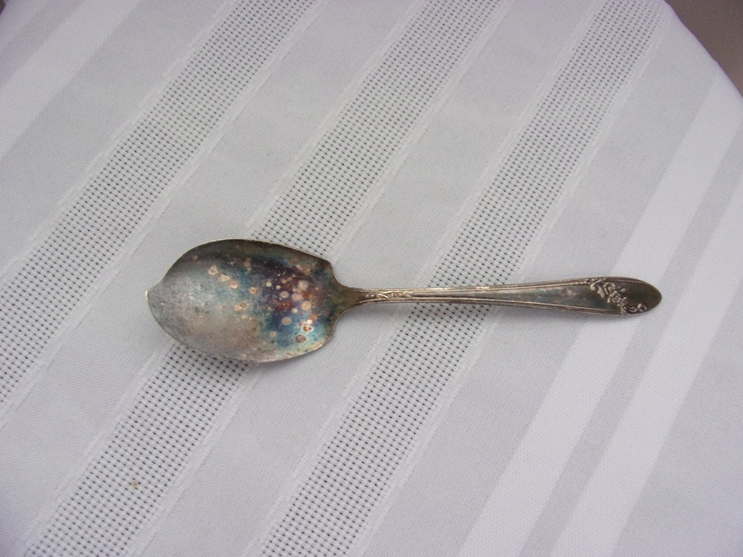 Vintage Tudor Plate Oneida Silverplate Community Jelly Spoon Etsy