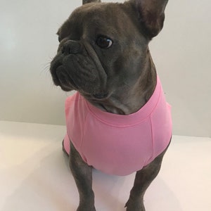 Rosa Lovabull Hund T-shirt, Bio-Baumwolle, Jersey, rosa T-Shirt, Hundekleidung, Französische Bulldogge, Bio-T-Shirt