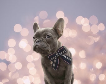 Pricilla and Rebecca ribbon pet Bow, dog bow, navy and pink striped ribbon, dog accessories
