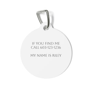 Personalized Pet ID Tag: Glossy Metal Dog & Cat Name Tag