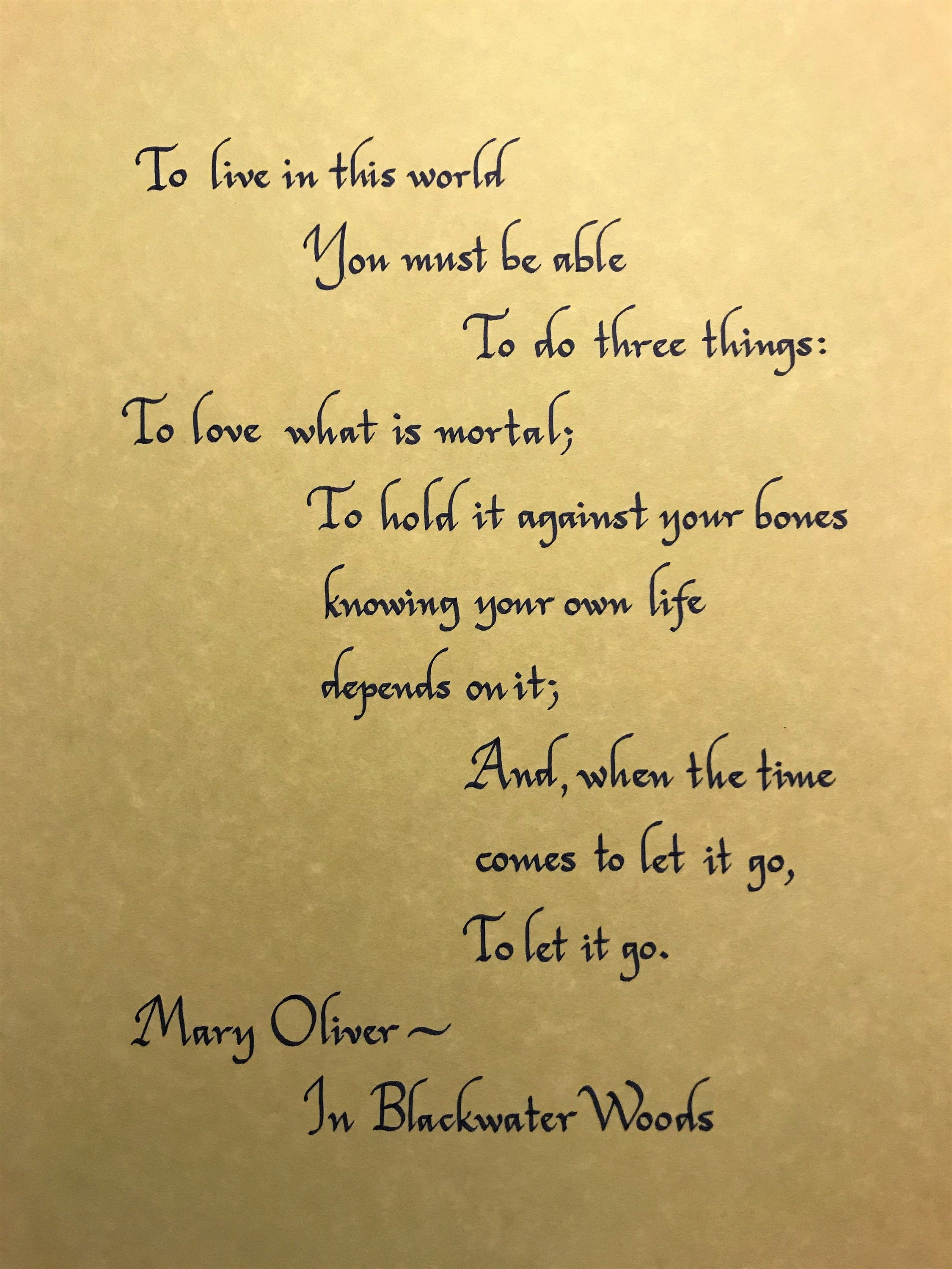 Mary Oliver in Blackwater Woods Excerpt - Etsy Israel