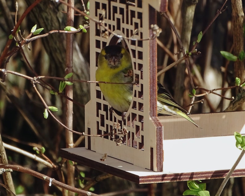 Op de afbeelding: Een kleine groene en gele vogel zit op een houten vogelvoederhuisje met een decoratief uitgesneden ontwerp. De voederbak heeft een platform en een klein huisvormig bouwwerk met een gat aan de voorkant.