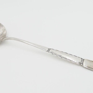 May include: A silver serving spoon with a decorative handle. The spoon has a rounded bowl and a long, slender handle with a detailed design.