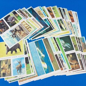 115 piezas de fotografías de coleccionista de Esso del álbum de animales de Heinz Fielmann de 1971, colección de lotes mixtos