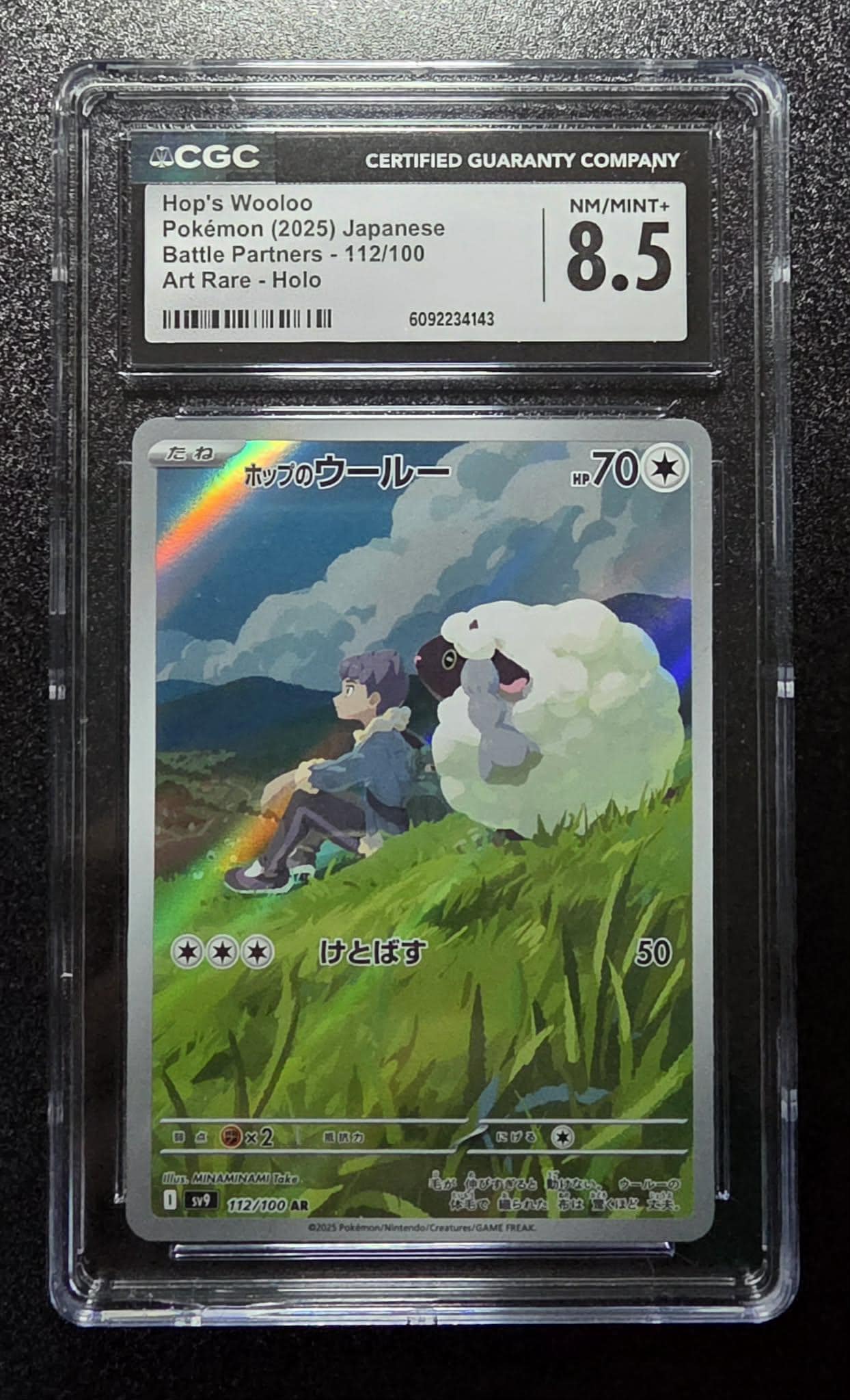 Hop's Wooloo, JPN, Battle Partners, 112/100, Art Rare Holo - Etsy