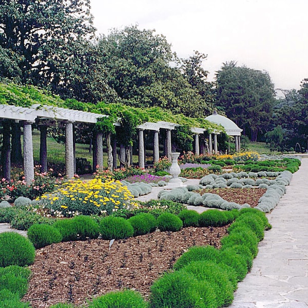 Maymont Park Italian gardens Richmond Virginia photograph