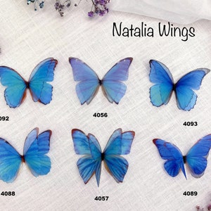 Silk Butterfly, Blue Butterflies 9,   Natalia Wings,   You create your own set!   Butterfly Jewelry, Wing Jewelry