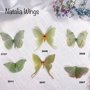 Silk Butterfly, Green Butterflies 1,   Natalia Wings,   You create your own set!   Butterfly Jewelry, Wing Jewelry