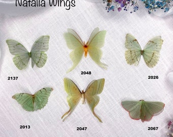 Silk Butterfly, Green Butterflies 1,   Natalia Wings,   You create your own set!   Butterfly Jewelry, Wing Jewelry