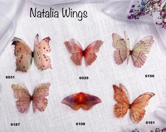 May include: Six different butterfly wings with various colors and patterns, including pink, red, and white. The wings are arranged in a grid pattern on a white background. The numbers 6031, 6029, 6156, 6187, 6108, and 6161 are written below each wing.