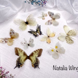 Set of 10 Silk Butterflies  "Nature Softness", Natalia Wings, Butterfly Jewellery, Wing Jewelry, Butterfly Decor