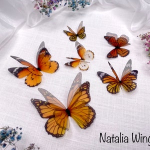 Ensemble de papillons en soie 6 Monarchs, Natalia Wings, Butterfly Jewellery, Wing Jewelry, Hair Pin image 5