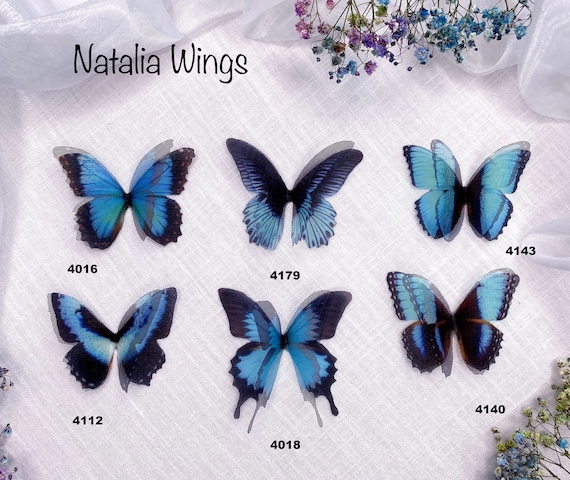 Silk Butterfly, Blue Butterflies 22, Natalia Wings, You Create