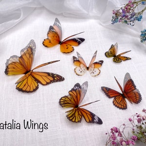 Ensemble de papillons en soie 6 Monarchs, Natalia Wings, Butterfly Jewellery, Wing Jewelry, Hair Pin image 8