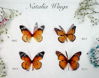 May include: Four orange and black butterfly wings with black outlines. The wings are arranged in a grid pattern with the numbers 8002, 8014, 8013, and 8213 below each wing.