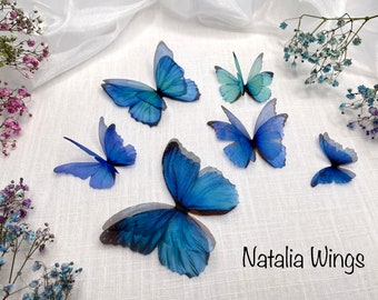 Set of 6 Silk Butterflies  "Blue Glow", Natalia Wings, Butterfly Jewellery, Wing Jewelry, Butterfly Decor
