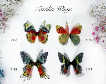 May include: Four colorful butterfly wing designs are displayed against a white background. The wings feature various patterns and colors, including red, orange, yellow, green, and black. The text "Natalia Wings" is at the top.