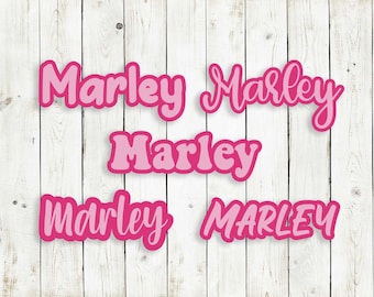 Name Sticker | Name Sticker For Kids | Water Bottle Sticker | Laptop Sticker | Ipad Sticker | Laptop Decal | Kids Sticker