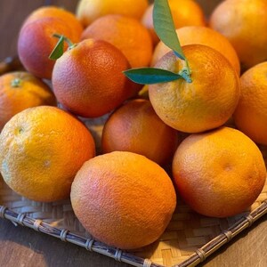 Smith Red Valencia Orange - 4lbs "Truly Naturally grown in SOCAL" *Free priority mail