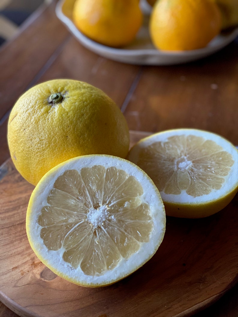 Organically Grown Pomelo Hybrid Sampler Melogold Oroblanco Etsy