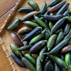 Fresh Naturally grown Finger Limes - 1lb *Free Priority Shipping Included