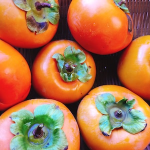 Fresh Fuyu Persimmons 4lbs - Naturally grown  & freshly picked as you order *Free Priority shipping