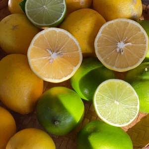 Bundle | Fresh Meyer Lemon and Bearss Limes | 4lbs | Grown on a small farm in California *Free Priority Shipping