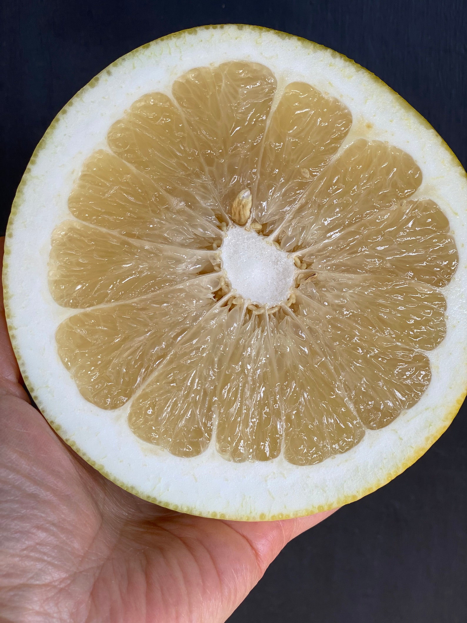 Organically grown Pomelo/Grapefruit Hybrid Sampler Melogold Etsy