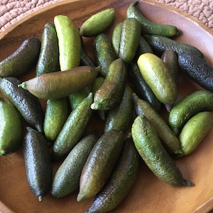 Fresh Naturally grown Finger Limes - 12 count *Free Priority Shipping included