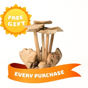 May include: A wooden mushroom-shaped decorative piece with a yellow ribbon that says "FREE GIFT EVERY PURCHASE".
