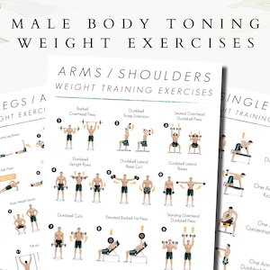 Männliches Kraftsport-Übungen, Langhantel-Übungen, Kurzhantel-Übungen, Ganzkörper-Übungen, Body Shred Guide, Fitness-Übungen, Bauch-Übungen